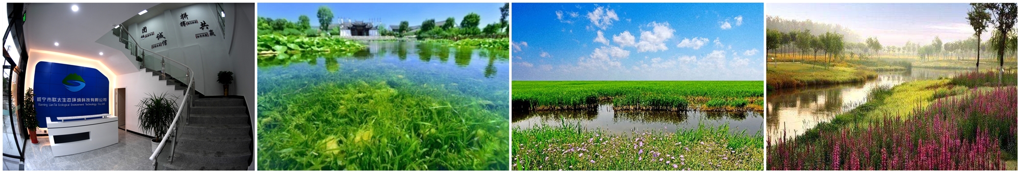 Ҽ������(EDF)���¹ٷ���վ