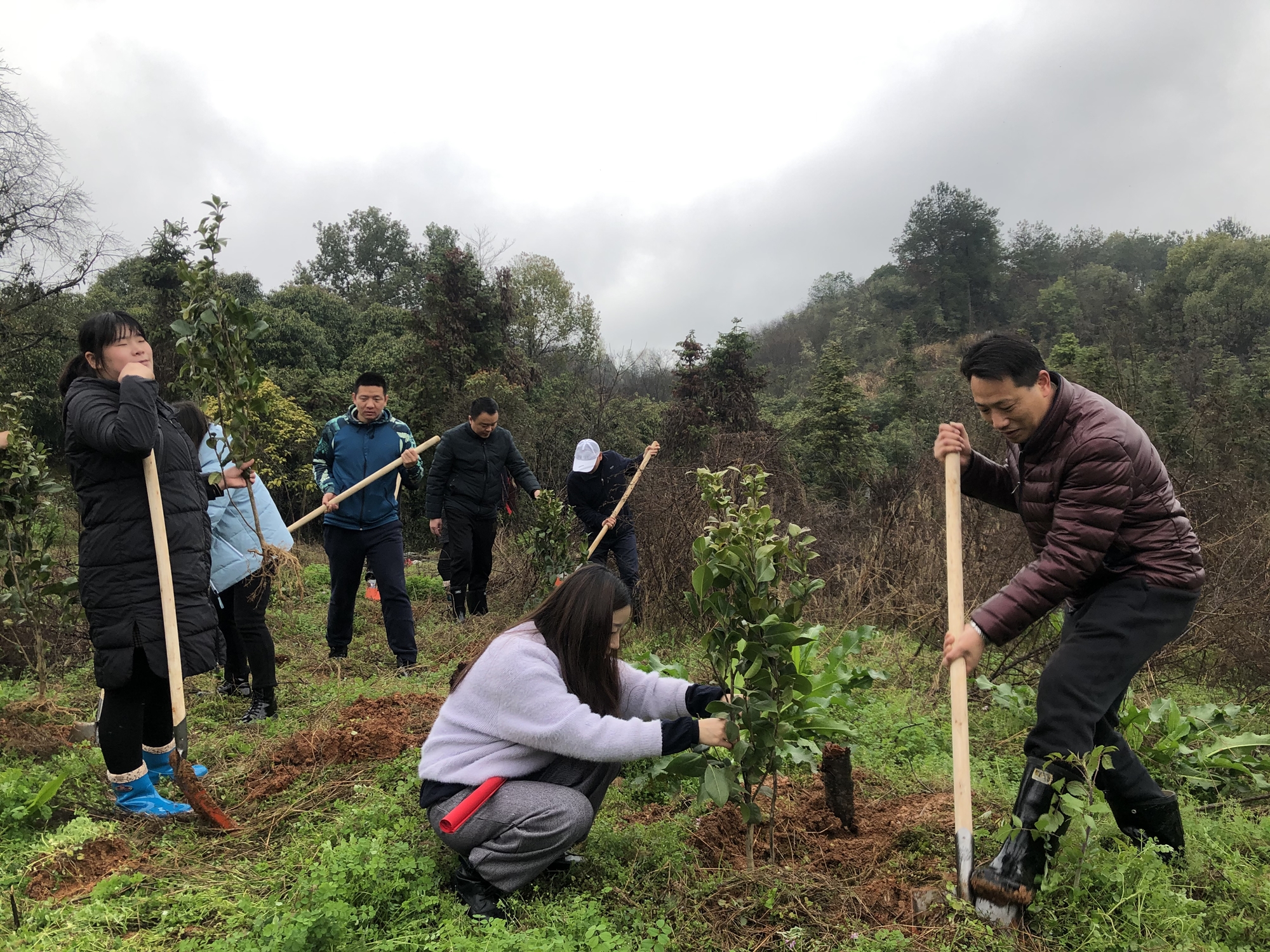 Ҽ������(EDF)���¹ٷ���վ