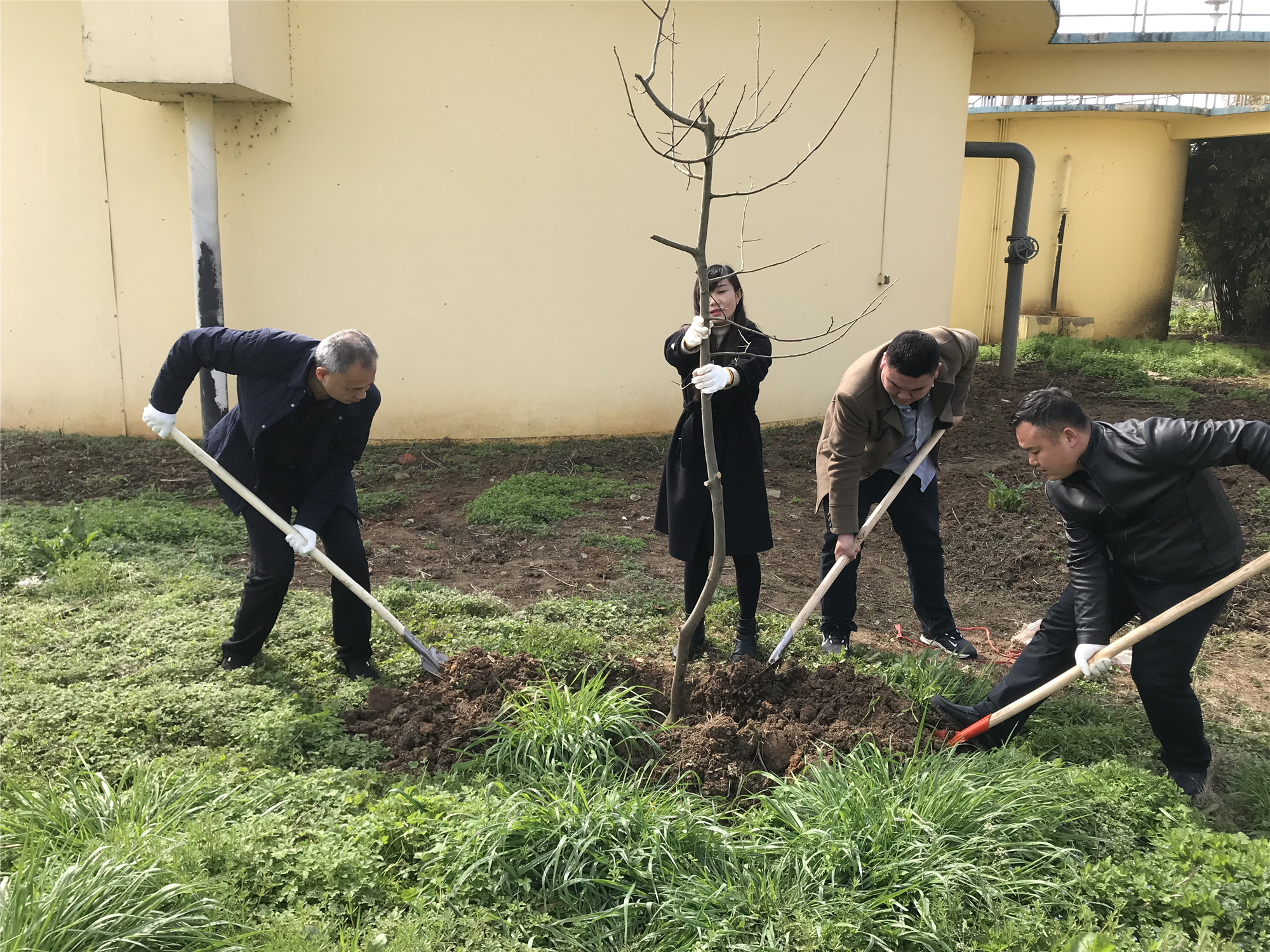 Ҽ������(EDF)���¹ٷ���վ