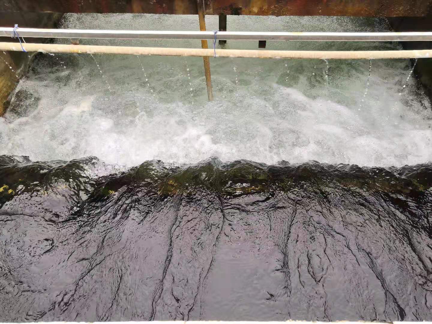 Ҽ������(EDF)���¹ٷ���վ