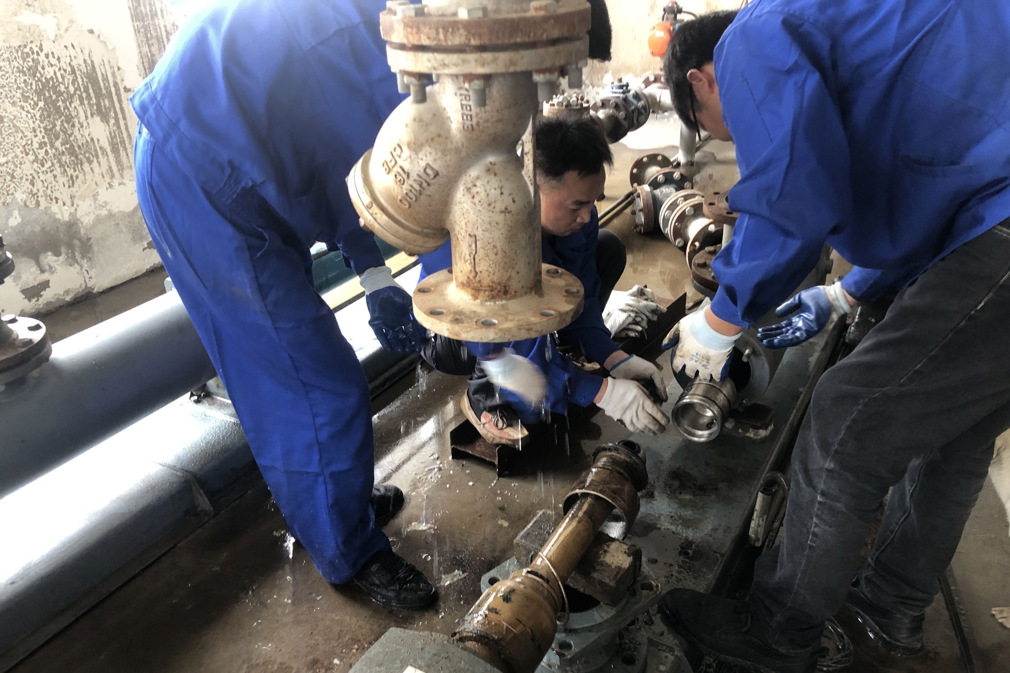 Ҽ������(EDF)���¹ٷ���վ