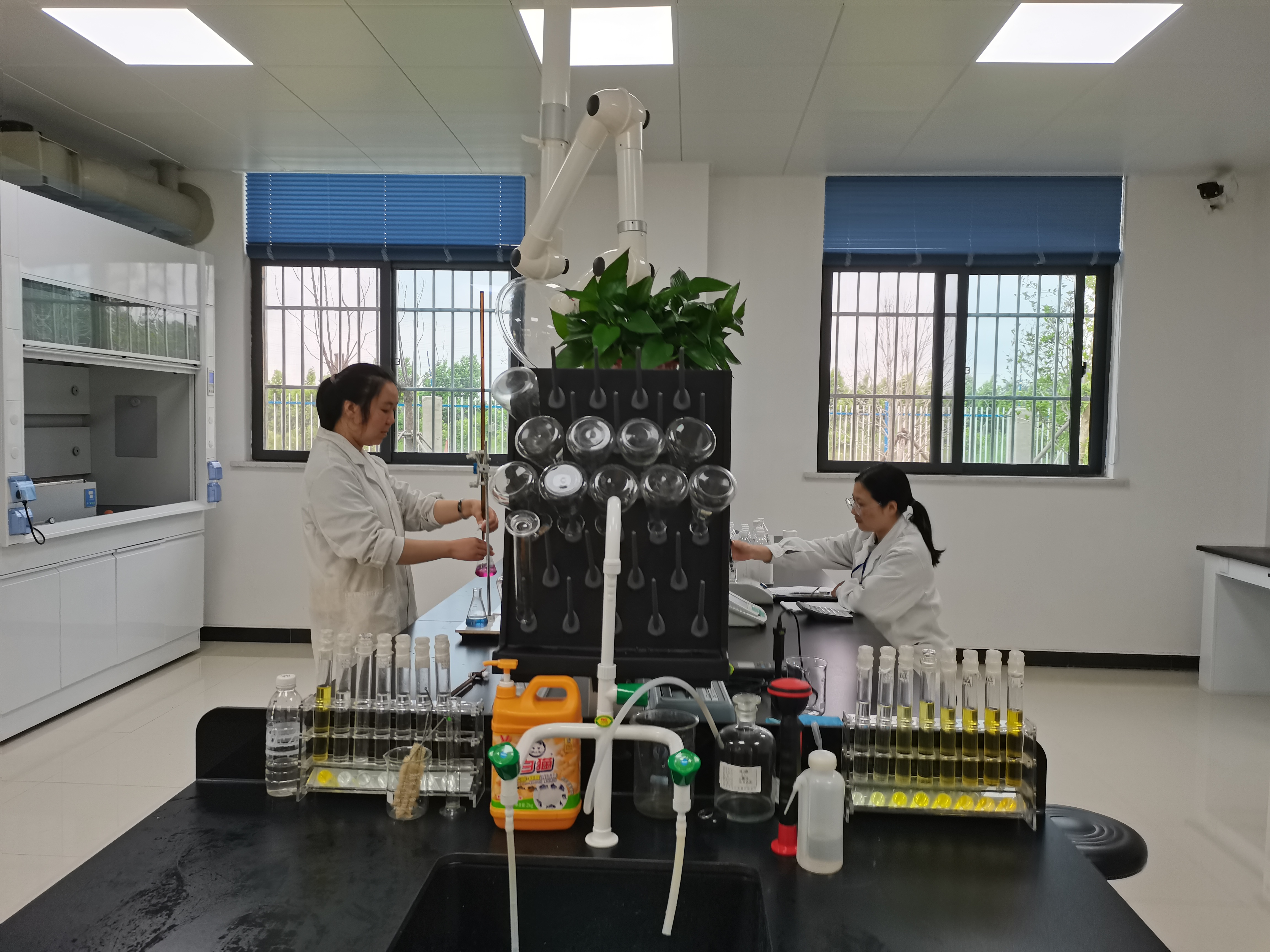 Ҽ������(EDF)���¹ٷ���վ