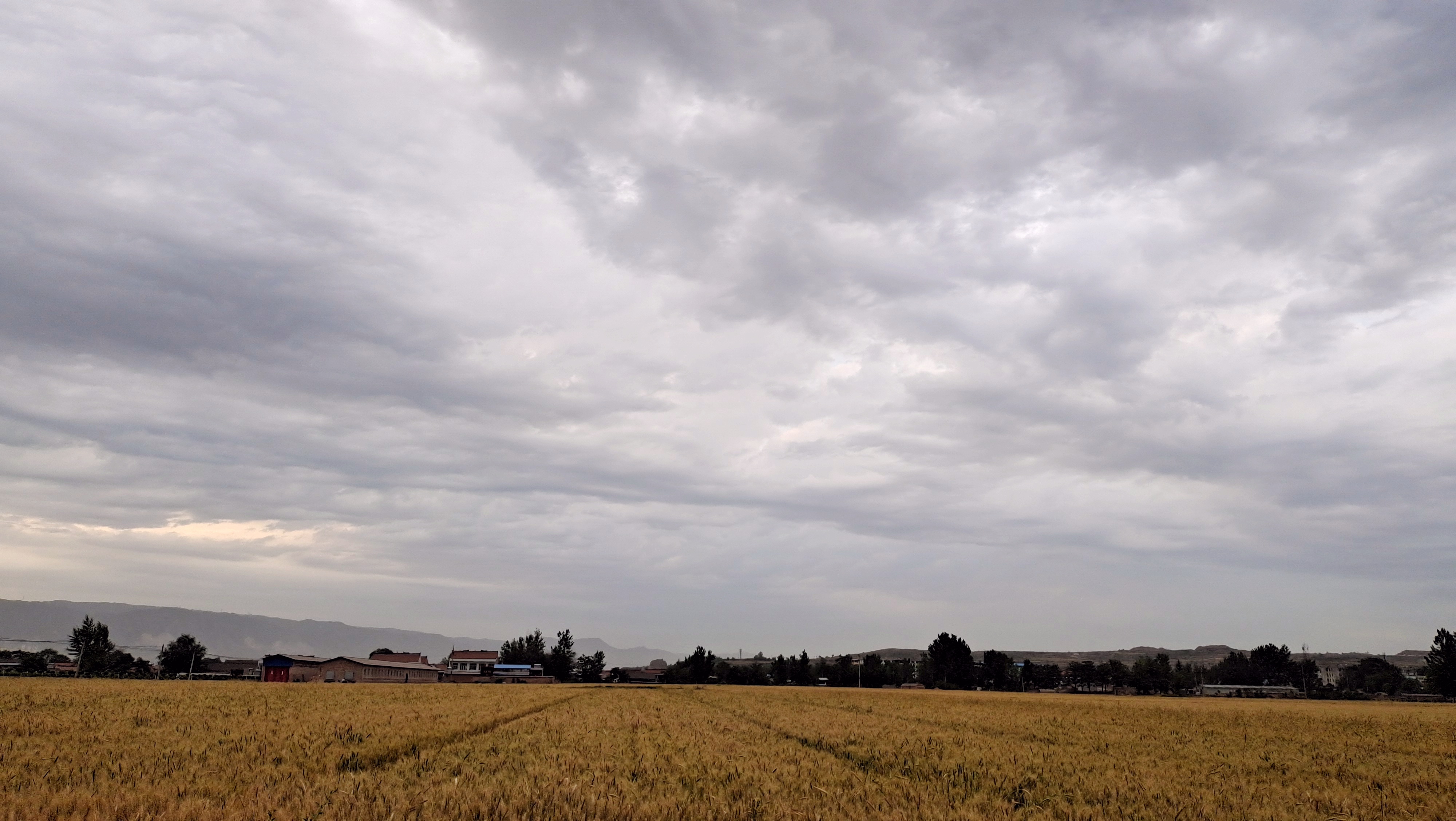 Ҽ������(EDF)���¹ٷ���վ