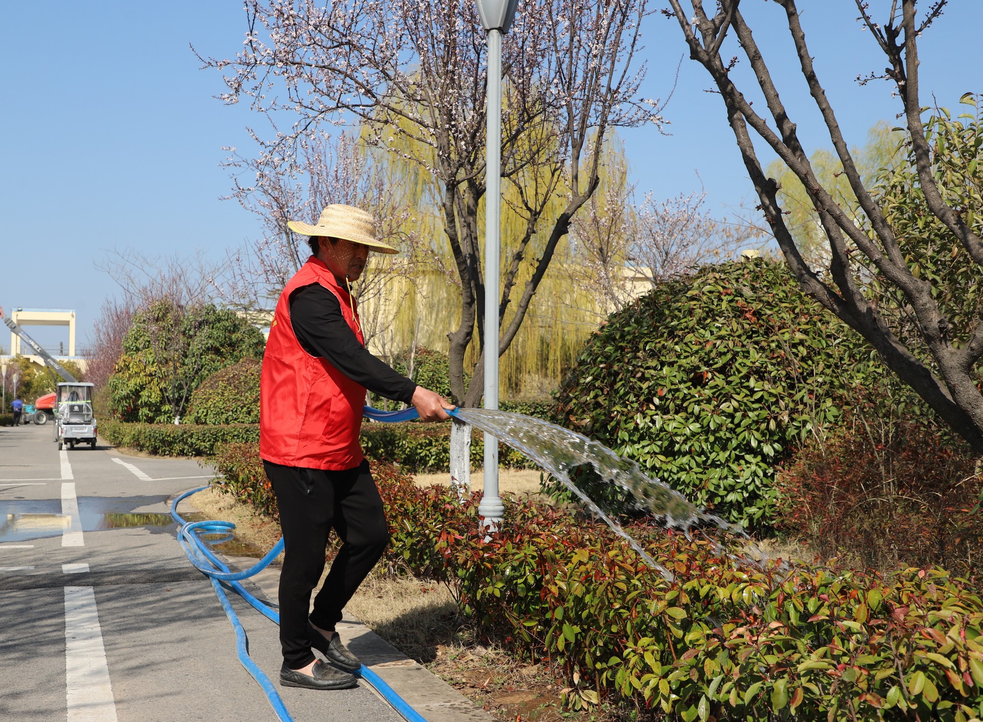 Ҽ������(EDF)���¹ٷ���վ