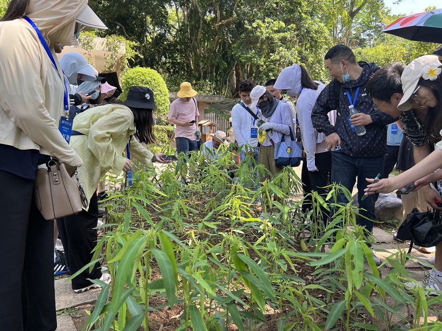 Ҽ������(EDF)���¹ٷ���վ