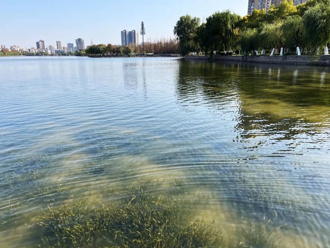 Ҽ������(EDF)���¹ٷ���վ