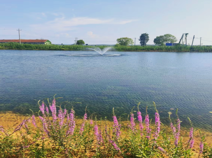 Ҽ������(EDF)���¹ٷ���վ