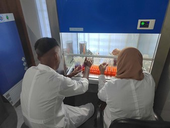 Ҽ������(EDF)���¹ٷ���վ