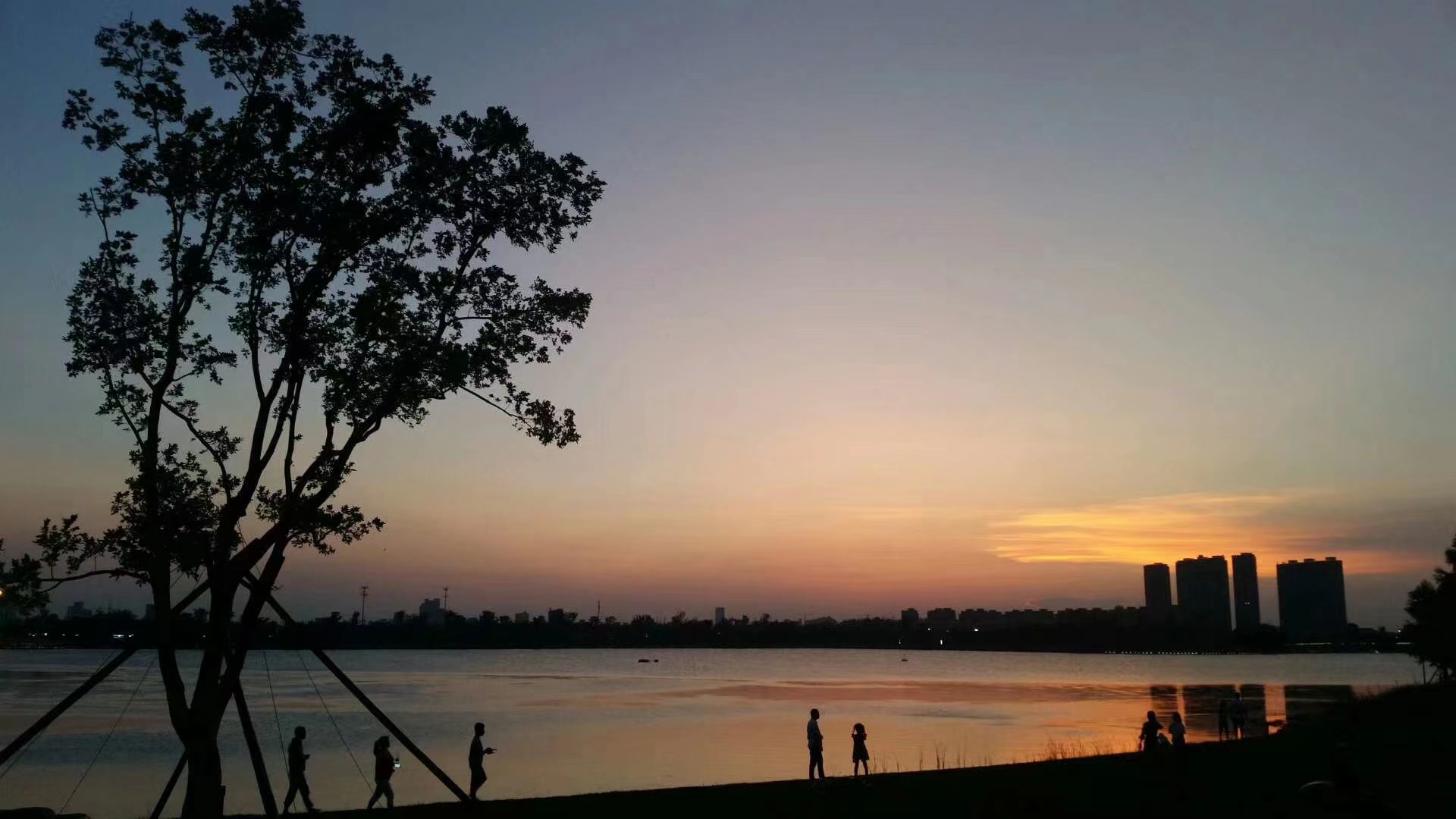 Ҽ������(EDF)���¹ٷ���վ