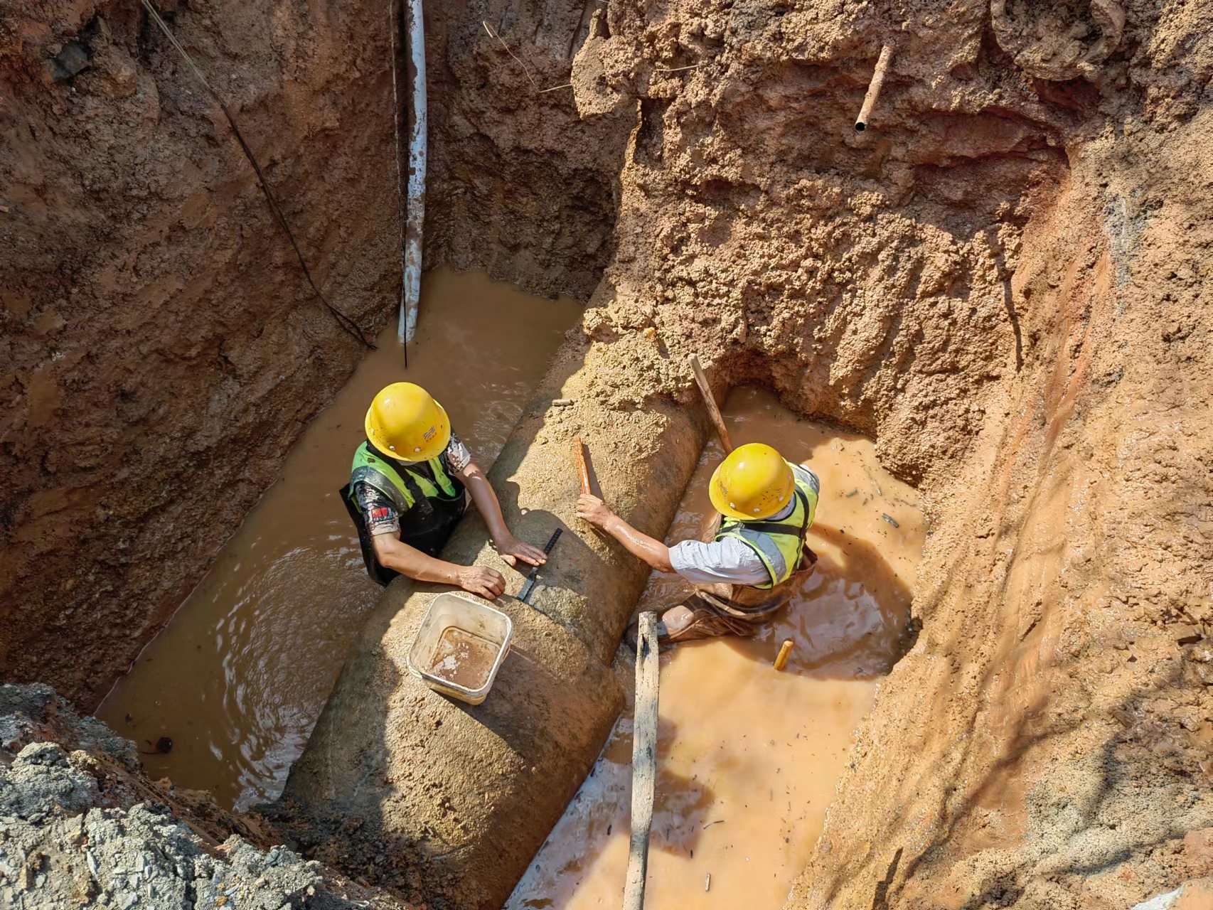 Ҽ������(EDF)���¹ٷ���վ