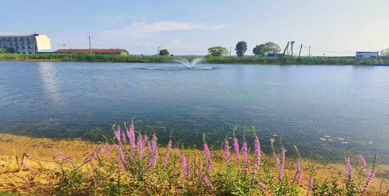 Ҽ������(EDF)���¹ٷ���վ