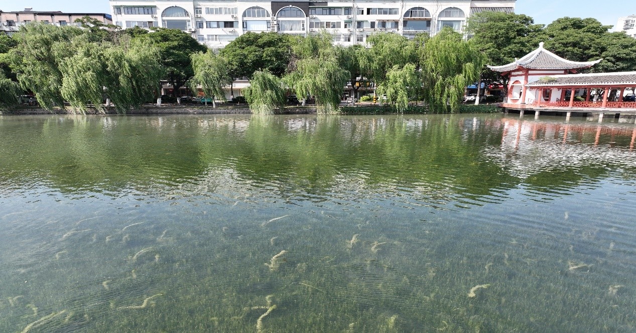 Ҽ������(EDF)���¹ٷ���վ