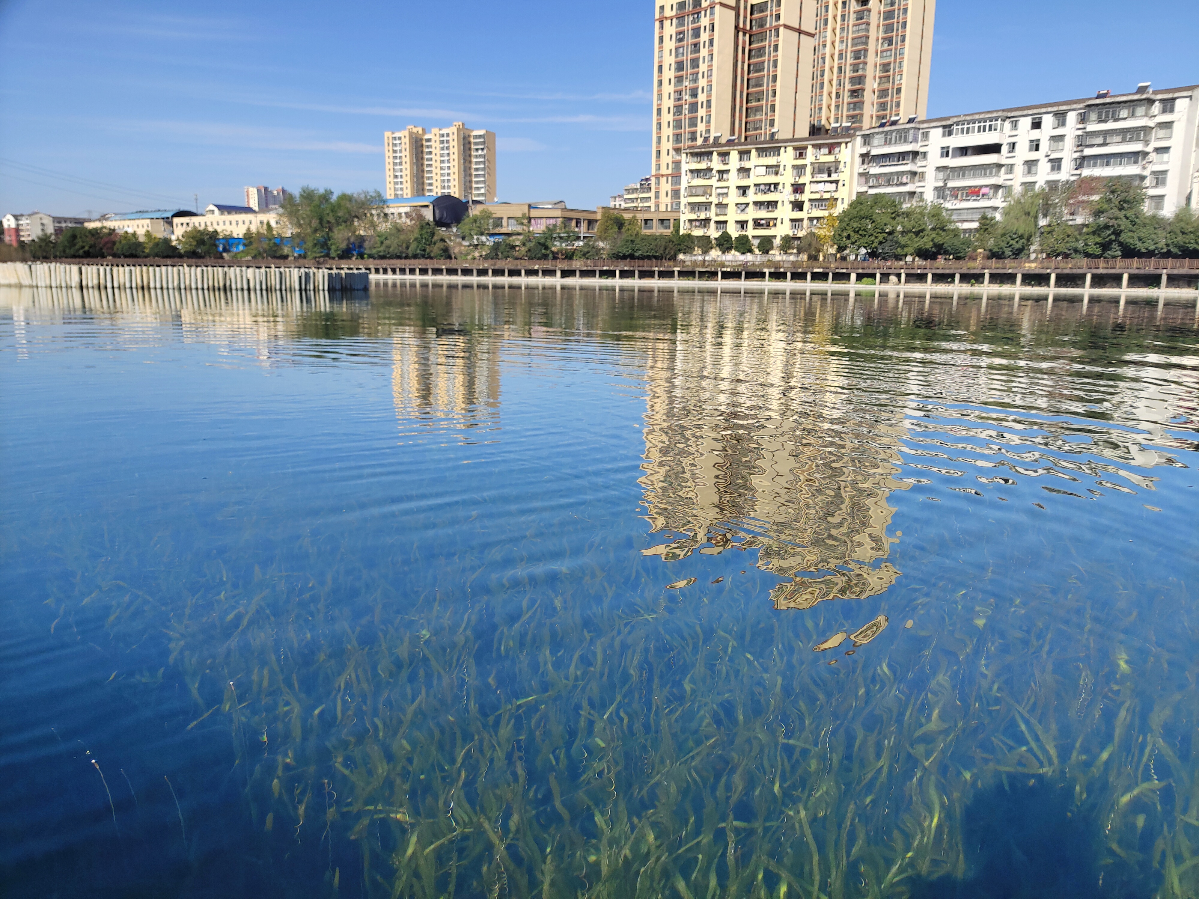 Ҽ������(EDF)���¹ٷ���վ