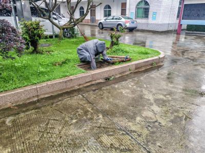 Ҽ������(EDF)���¹ٷ���վ