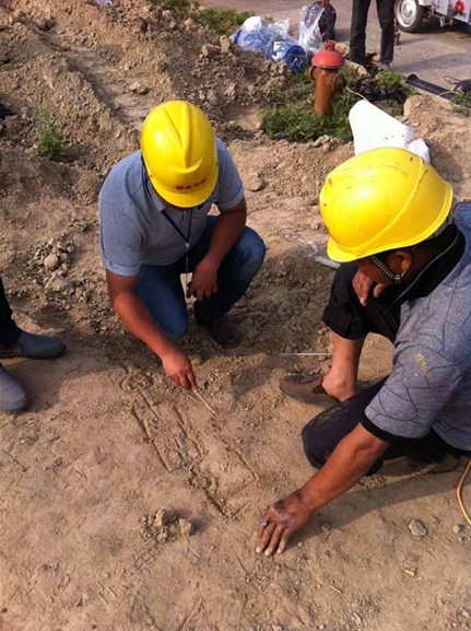 Ҽ������(EDF)���¹ٷ���վ