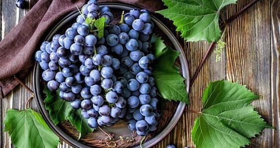 Ҽ������(EDF)���¹ٷ���վ