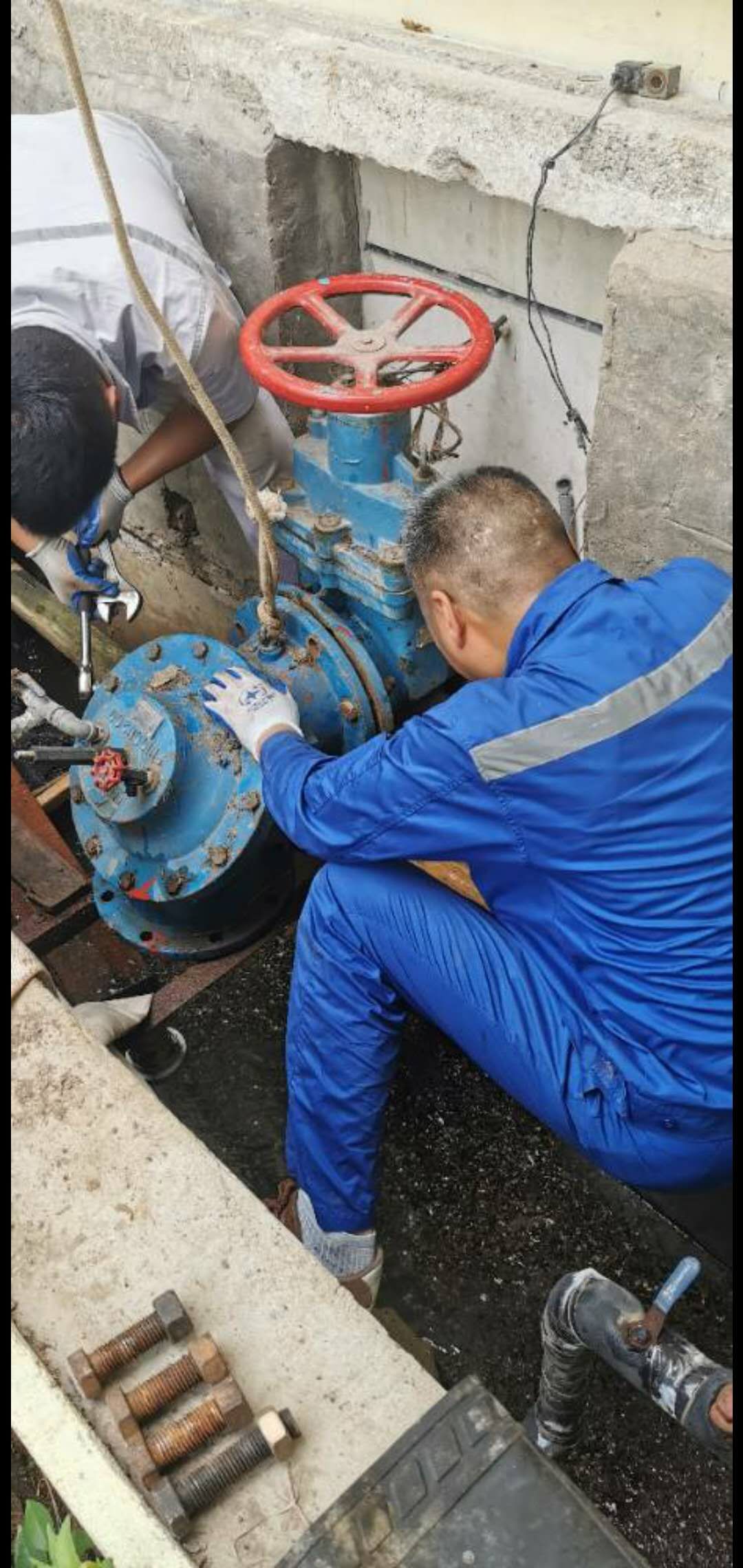 Ҽ������(EDF)���¹ٷ���վ